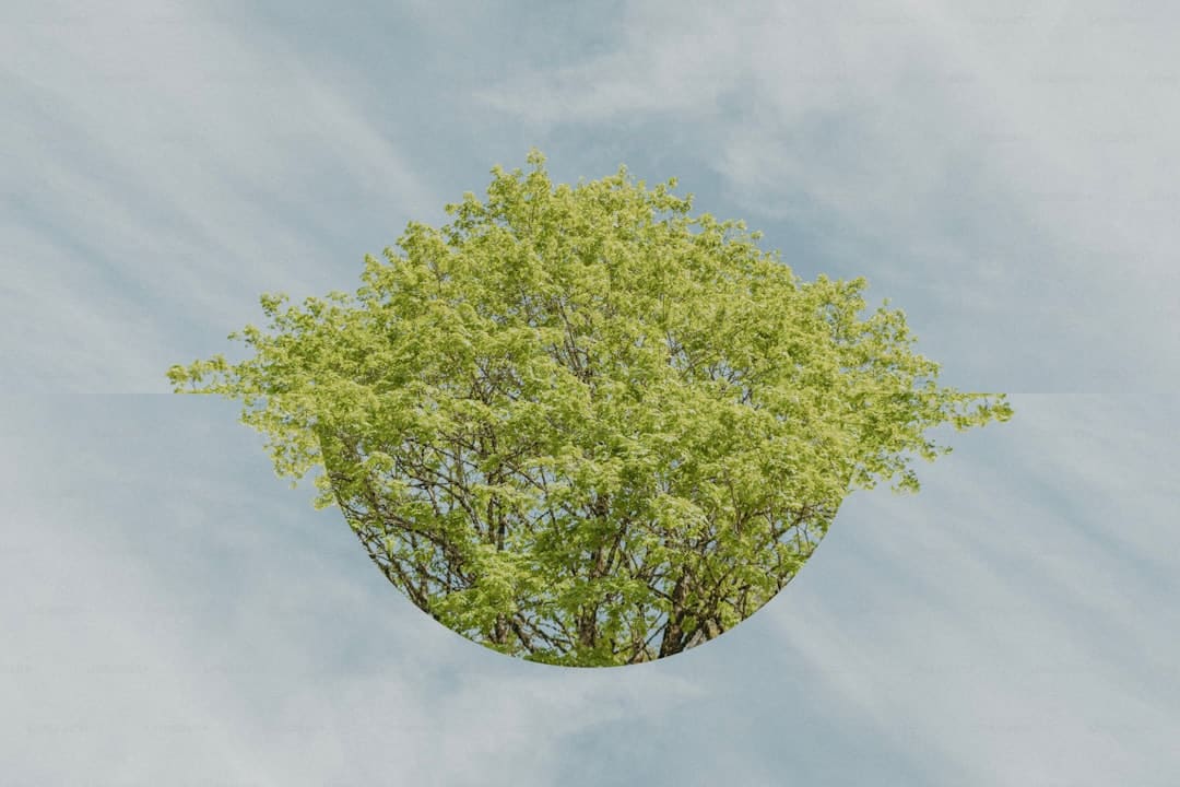 广发证券:关于现已持有本轮牛市科技主线的投资者 主张持续据守科技主线